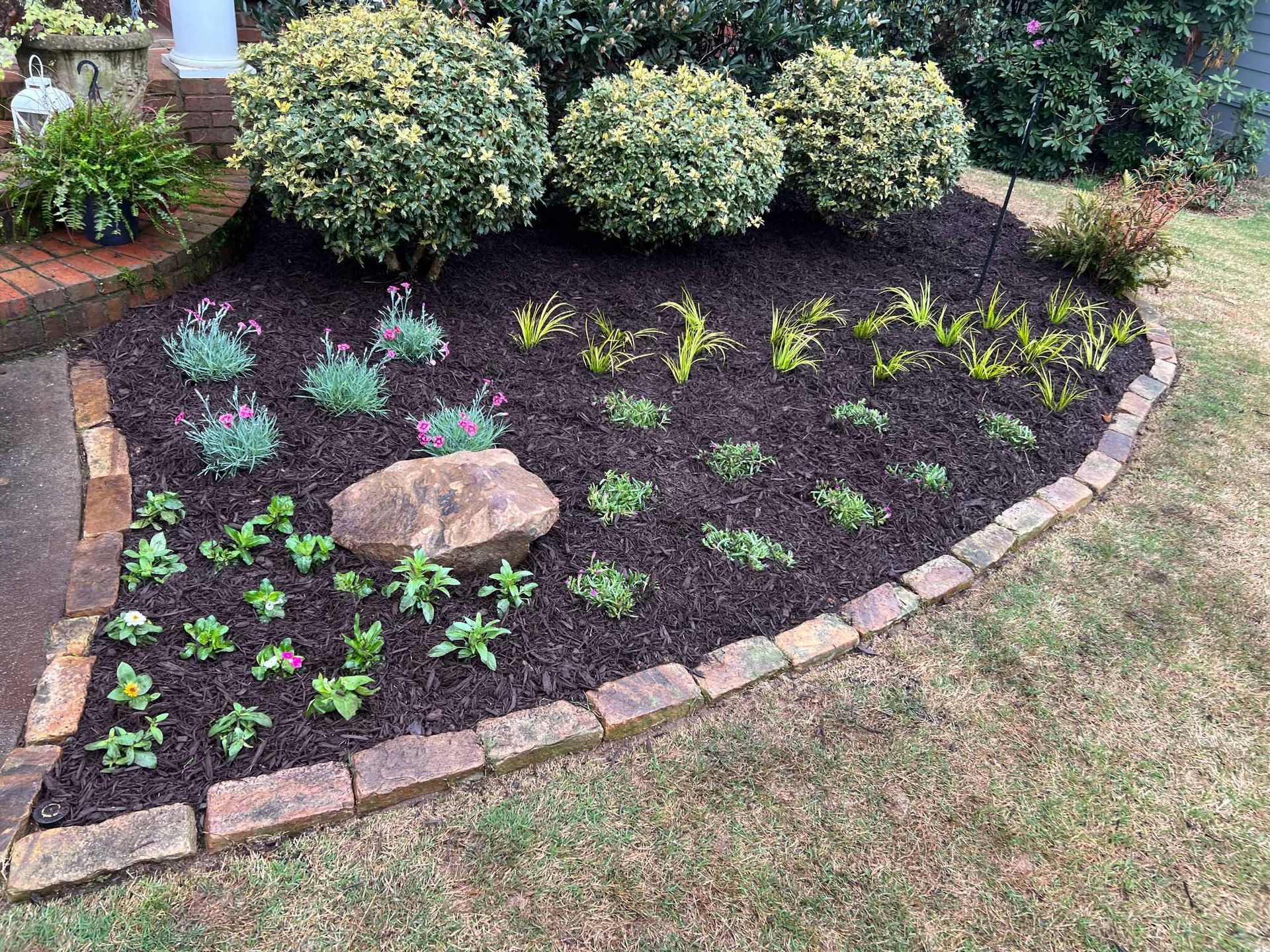 A garden with lots of plants and rocks in it