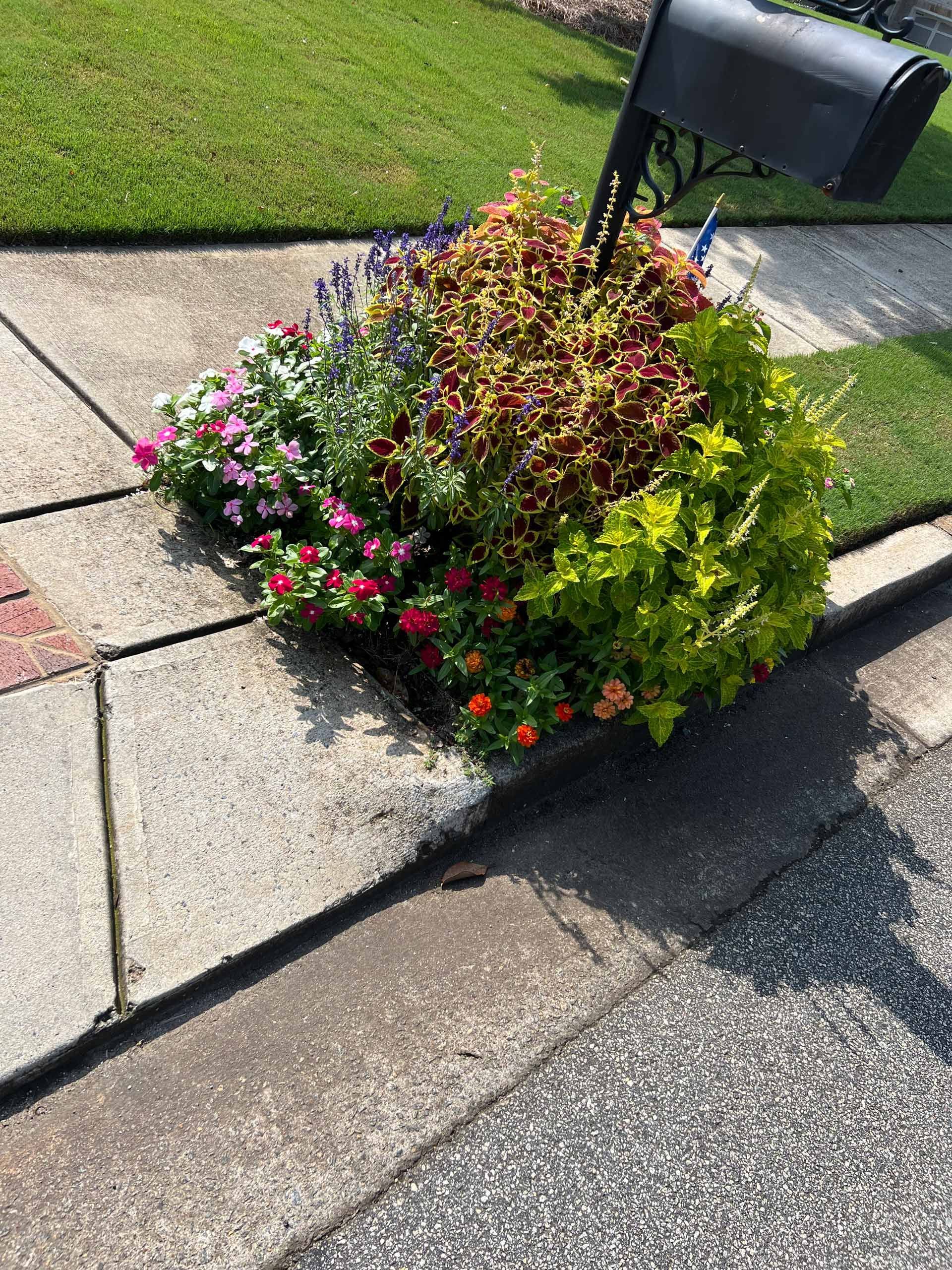 A mailbox is sitting on the sidewalk next to a flower bed.