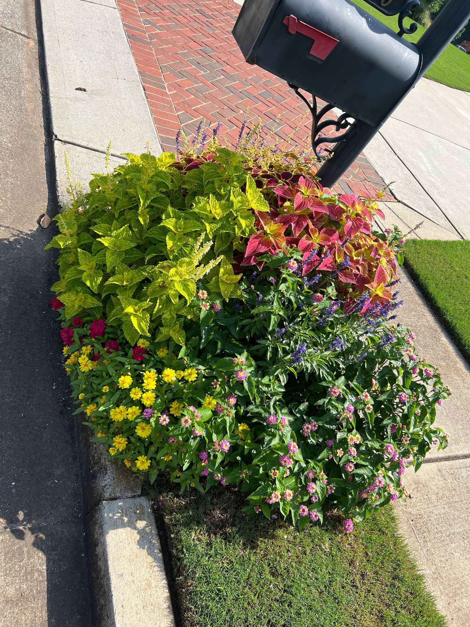 A mailbox is sitting on the side of the road next to a flower bed