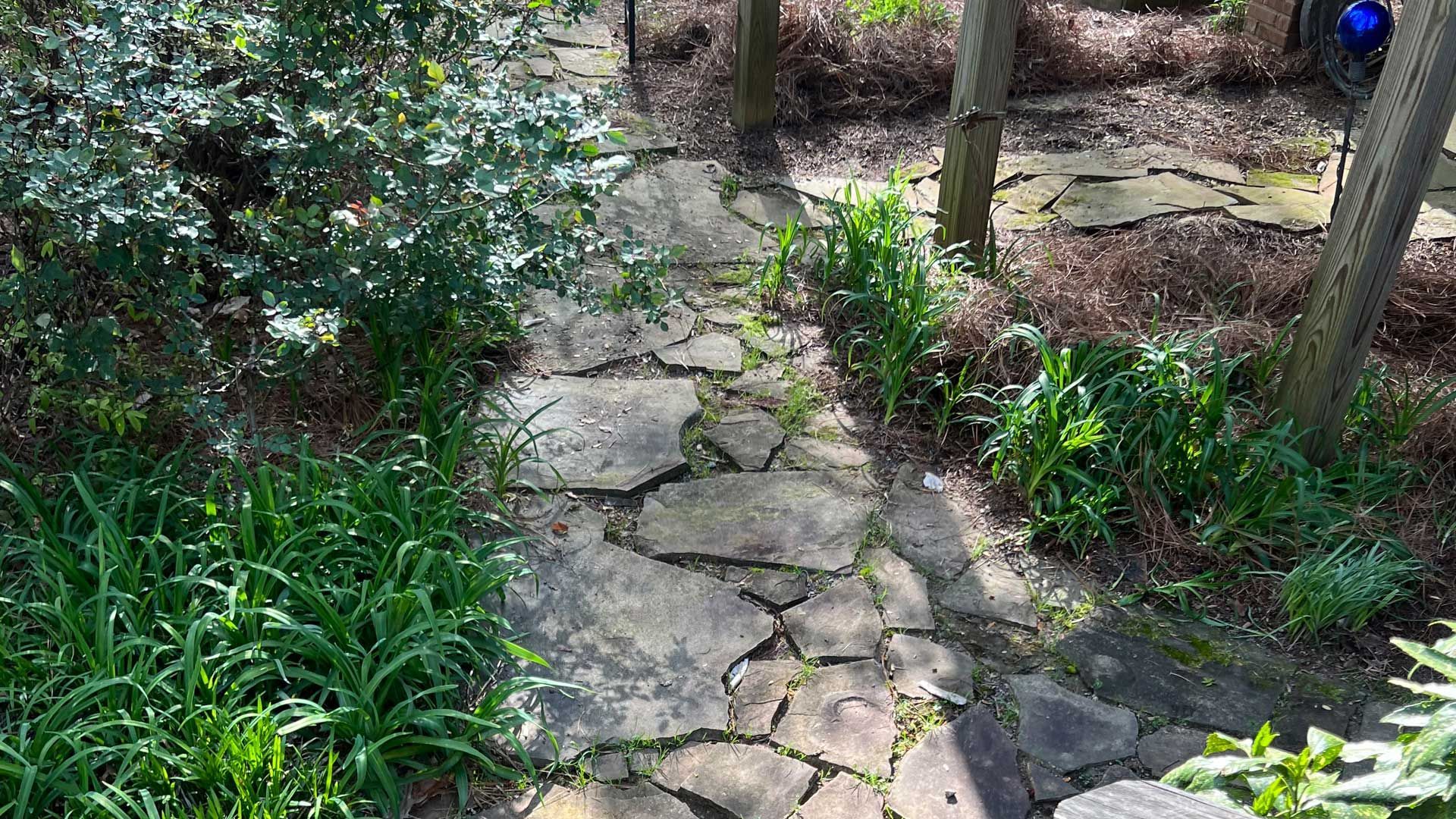 Residential property with nice landscaping