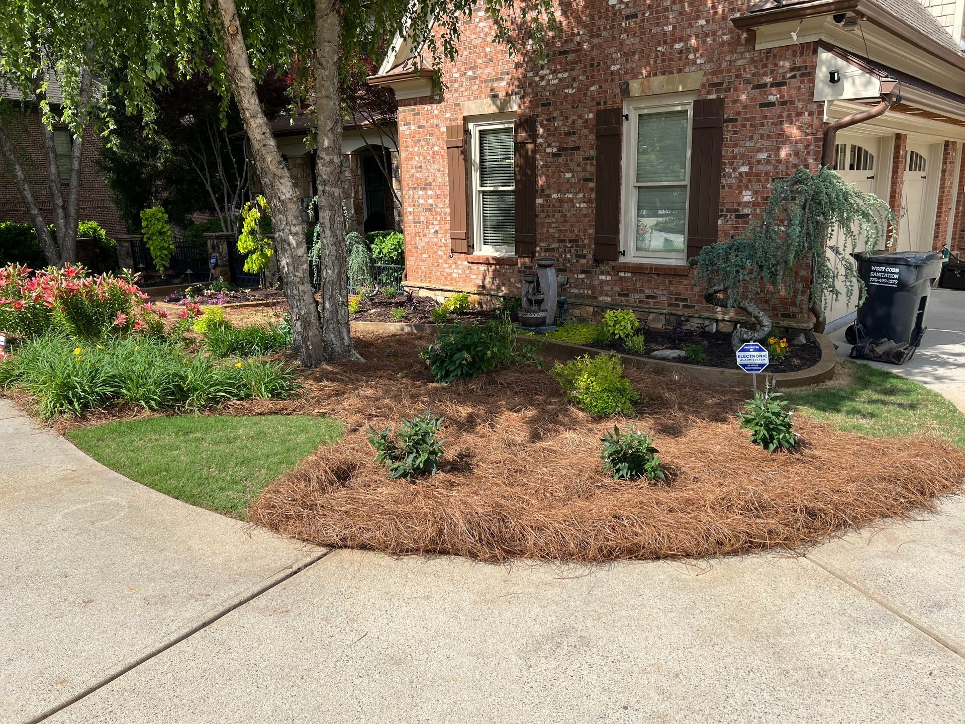 A bunch of flowers are growing in a garden next to a stone wall.