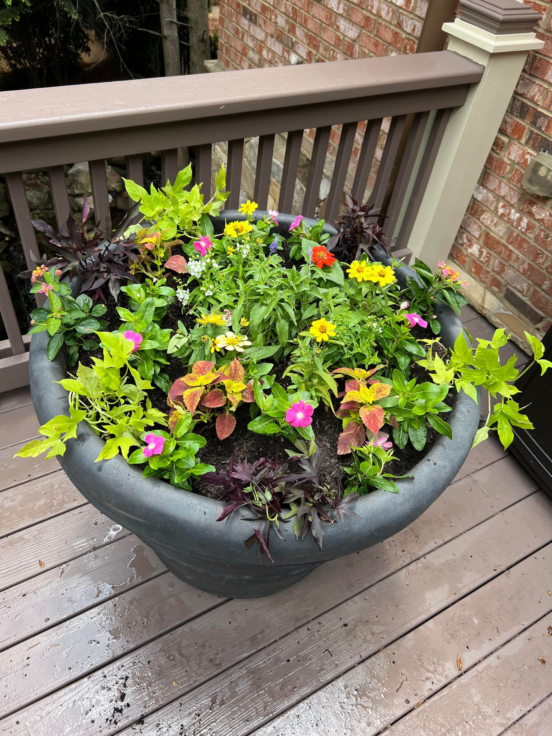 A professional landscape service.