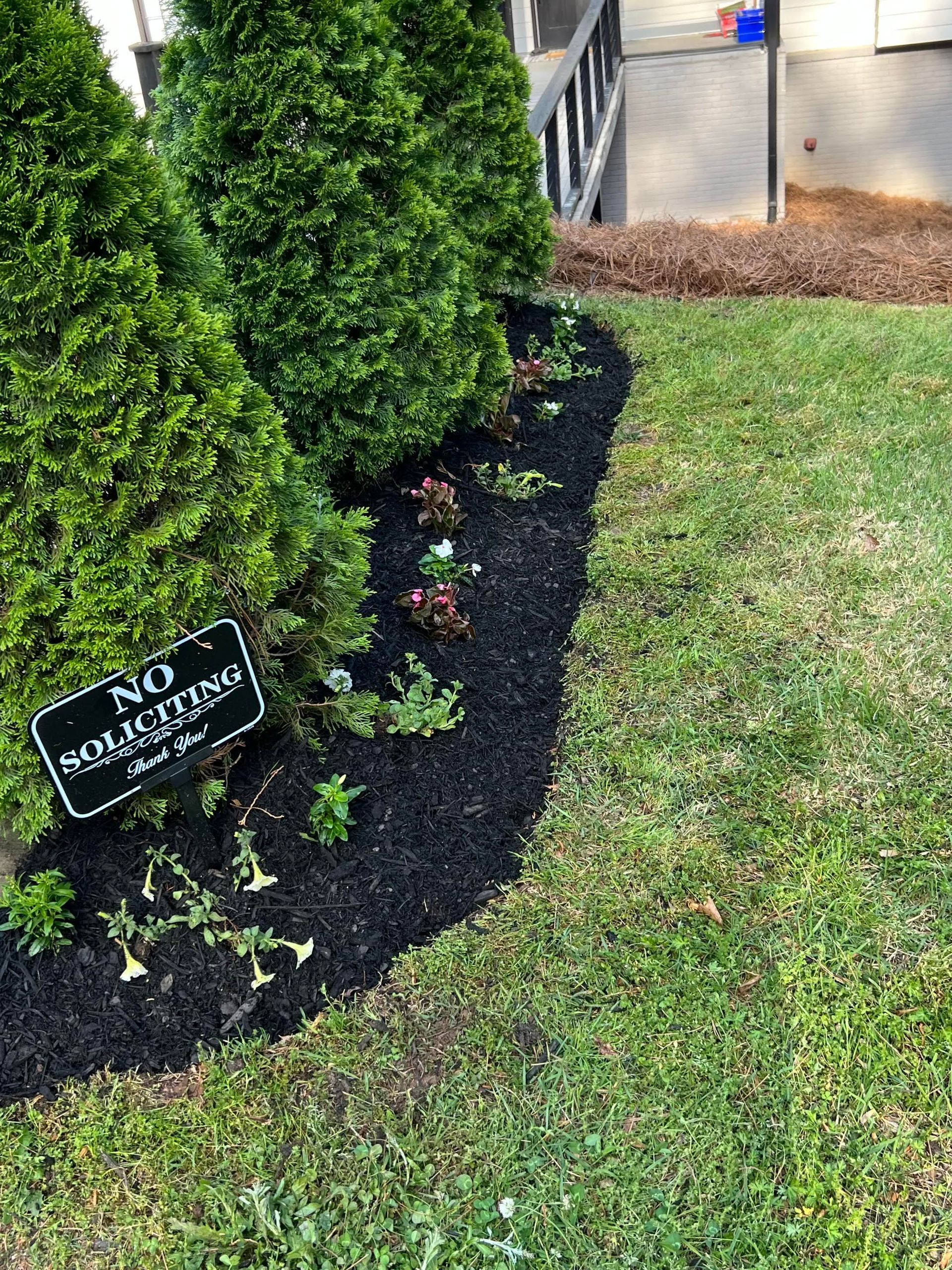 Professional landscape service