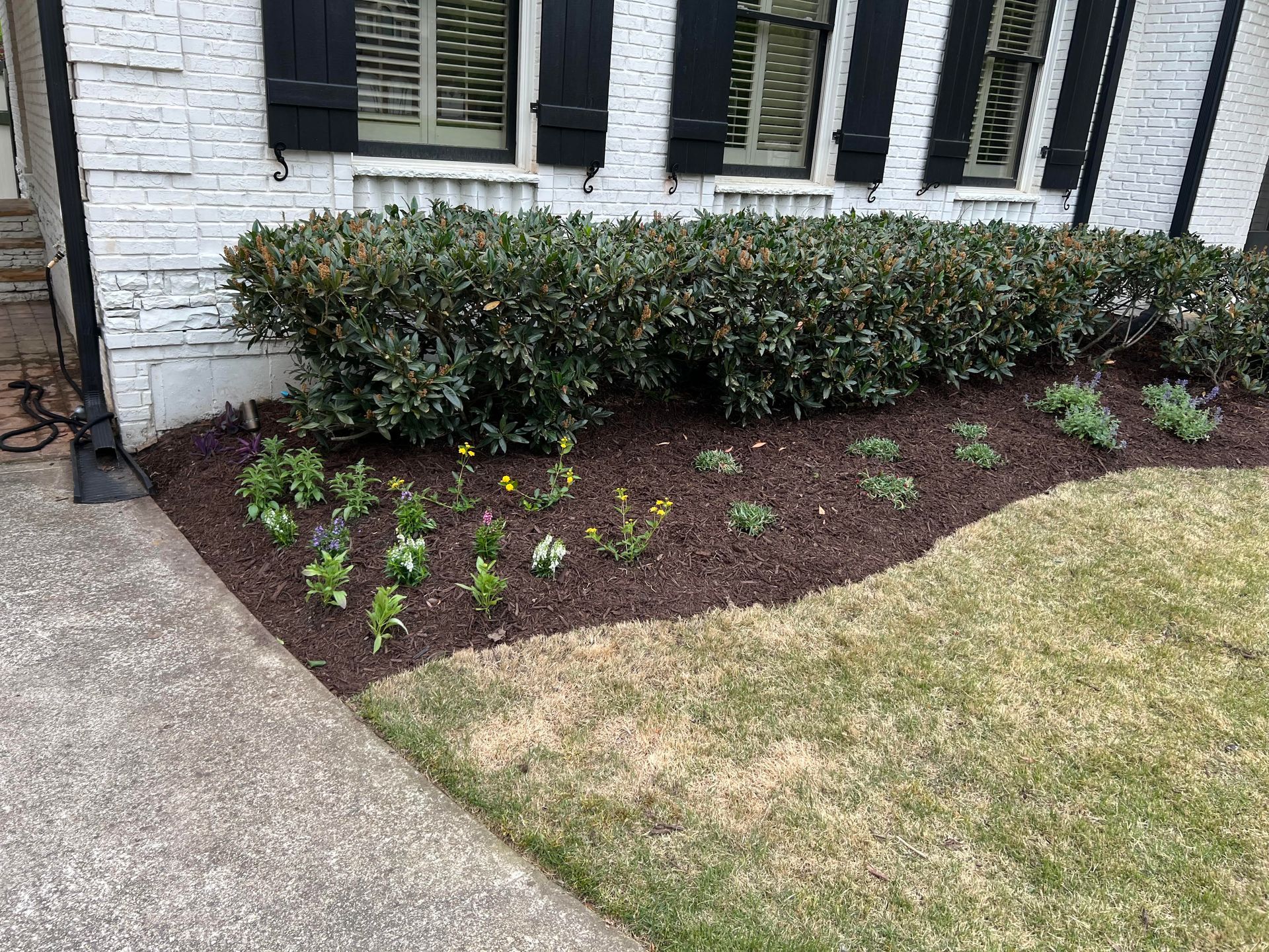 A white house with black shutters and a lush green lawn in front of it.
