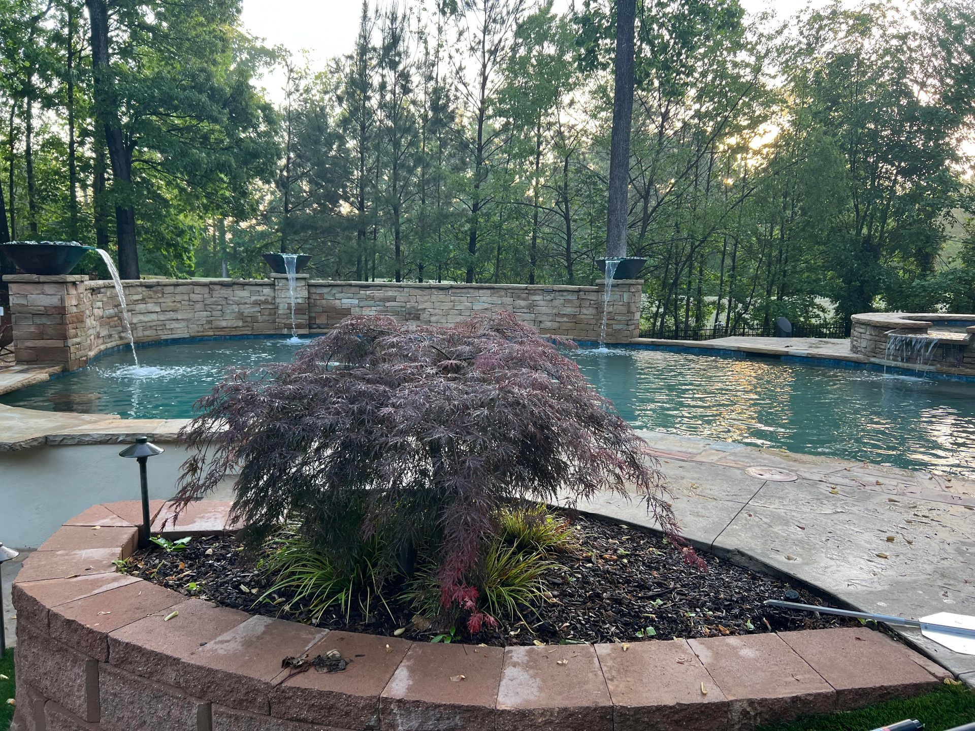 A swimming pool with a tree in the middle of it.