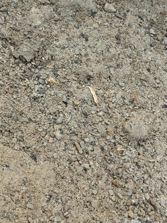 Close-up of rough gravelly dirt with small stones and a pale twig-like fragment.