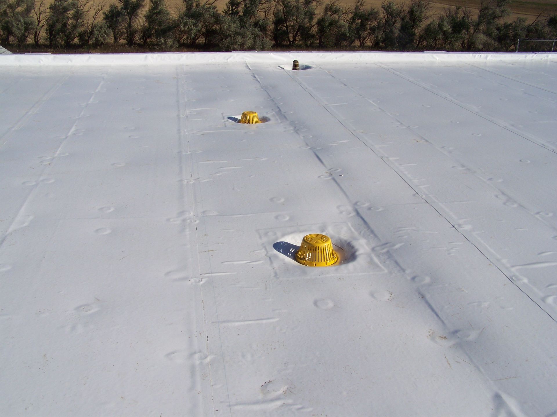 Yellow vent pipes on a snow-covered rooftop with trees in the background