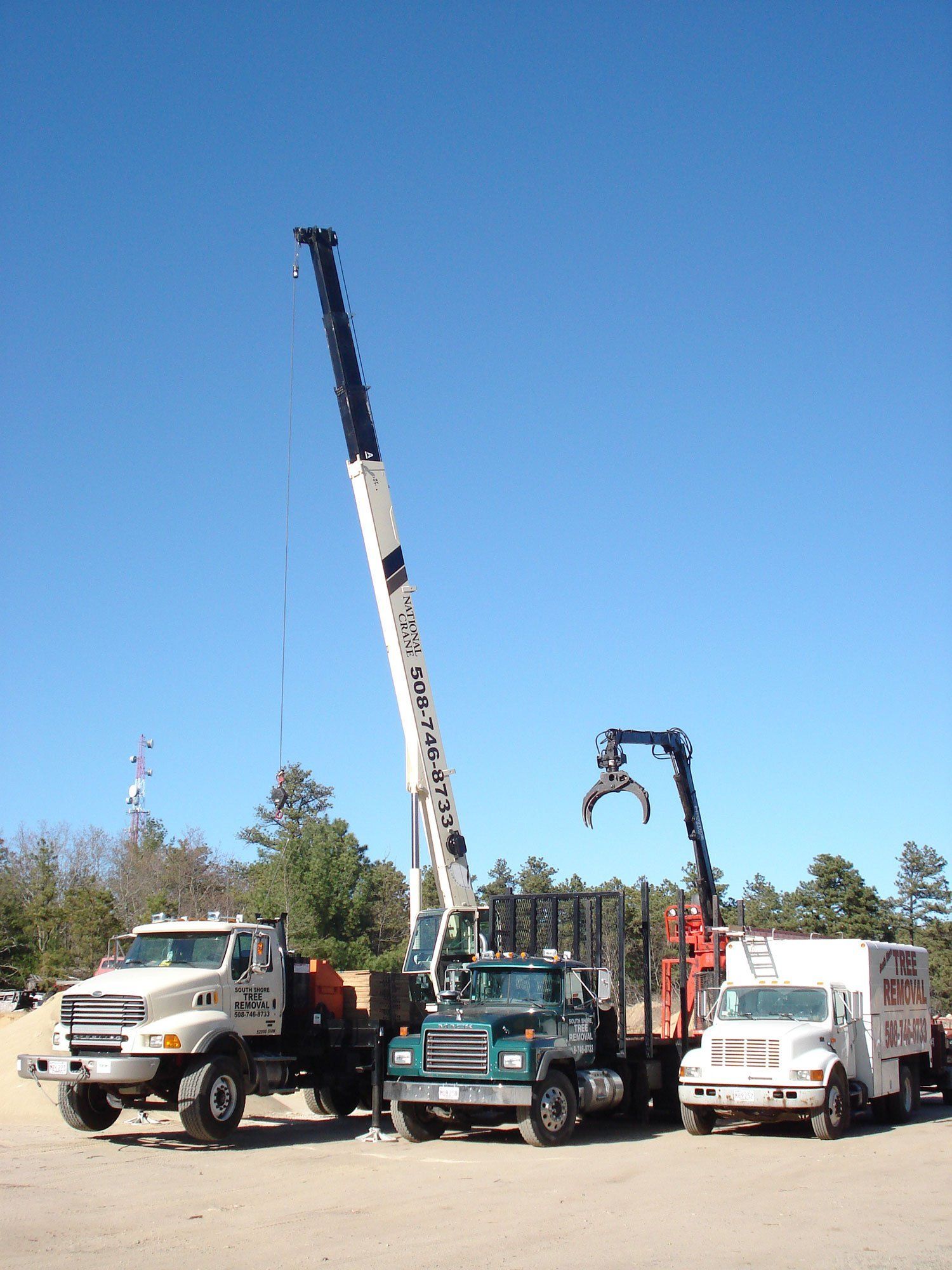 Crane rental