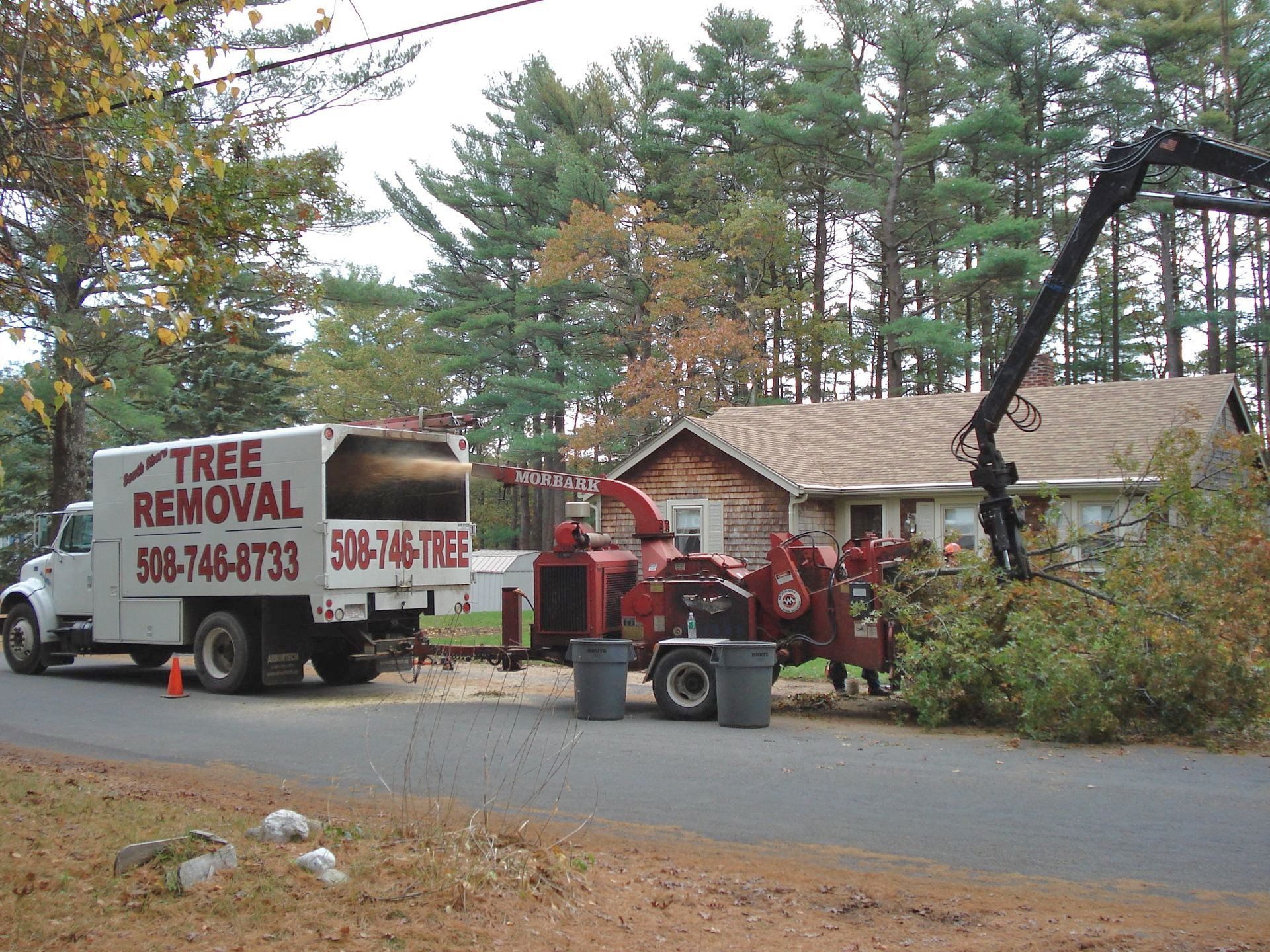 Tree Removal Services Marshfield, MA | Plymouth, MA