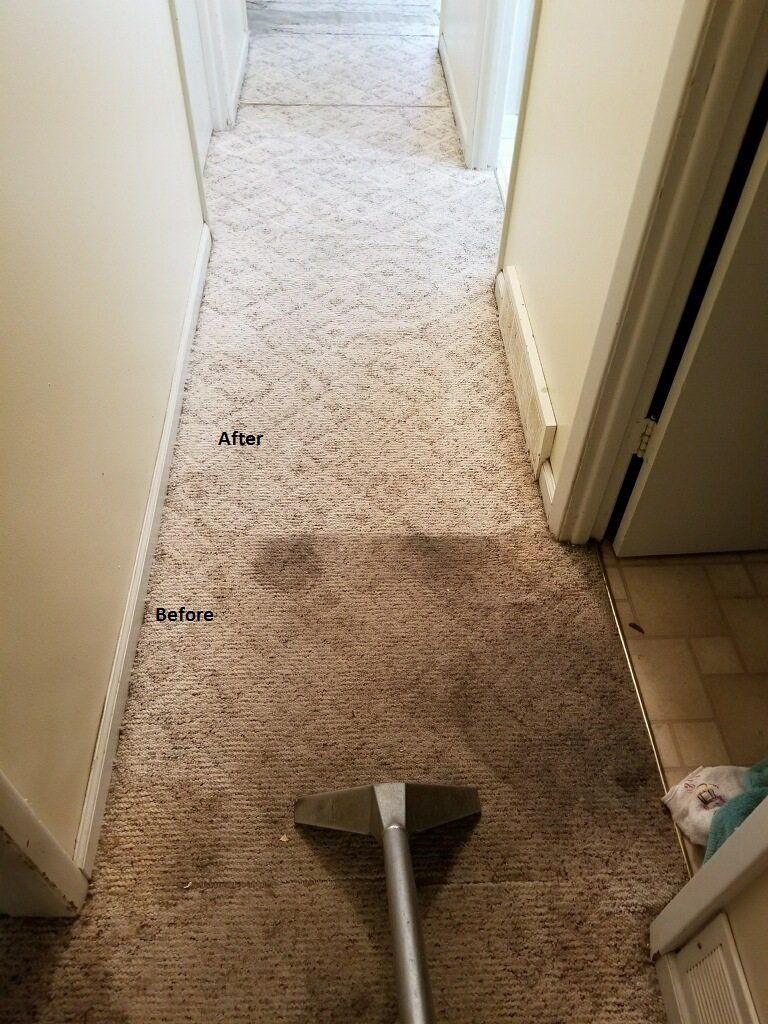 DJ Burris Quality Carpet Cleaning Gallery Grand Forks, ND