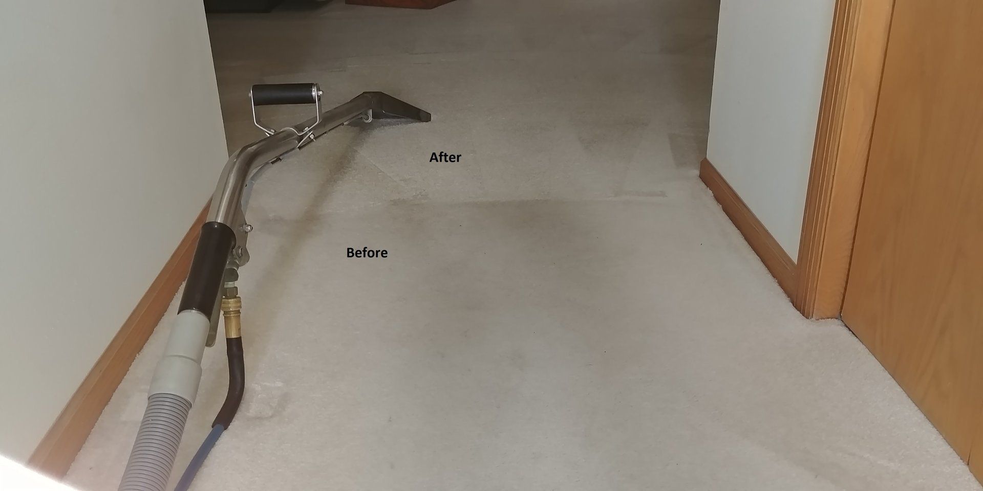 DJ Burris Quality Carpet Cleaning photo gallery