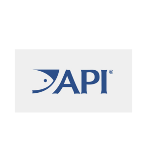 API logo in blue on a light gray background