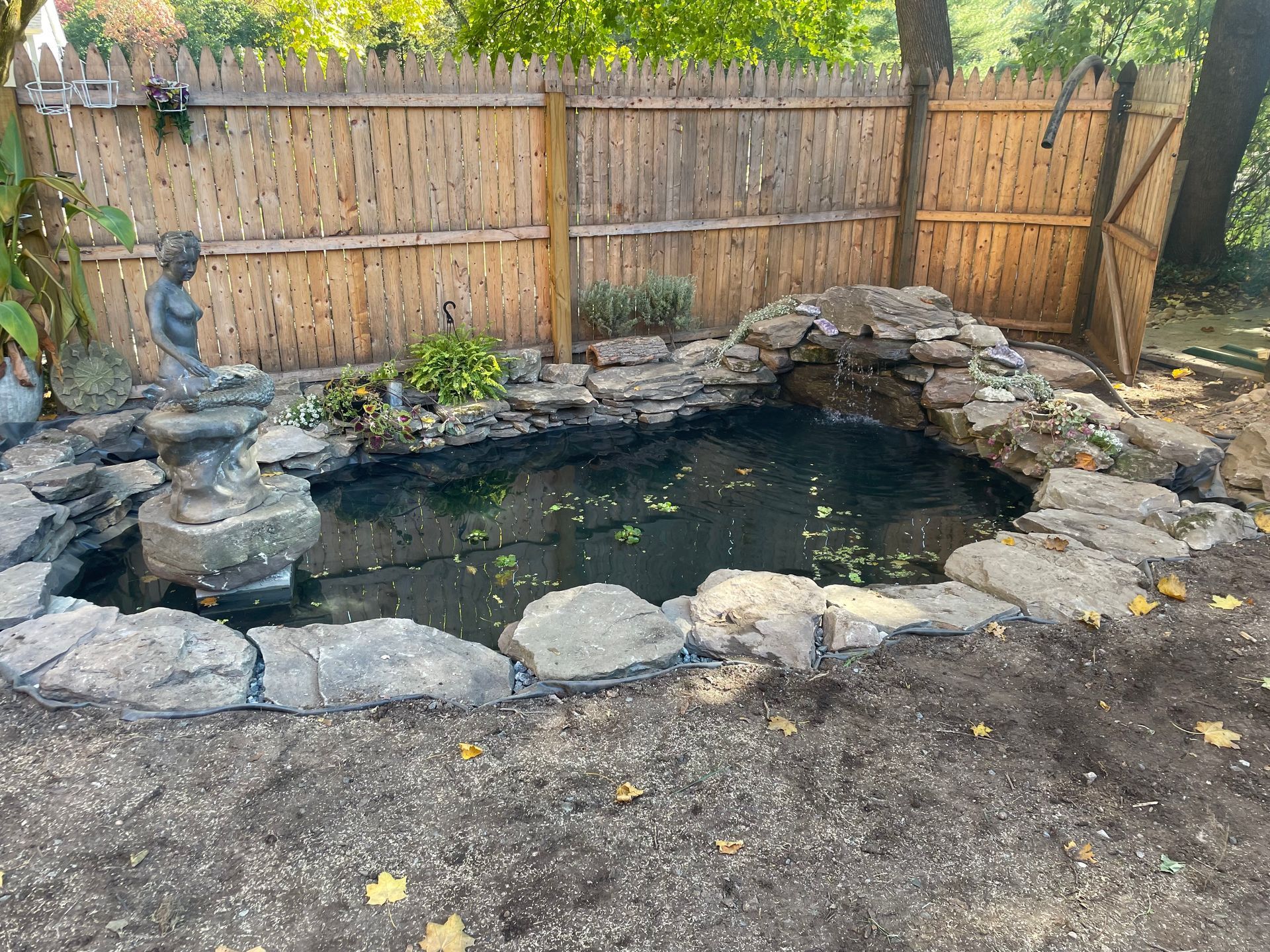 Small backyard pond with stone edging, dark water, a statue on the left, and a wooden fence behind.