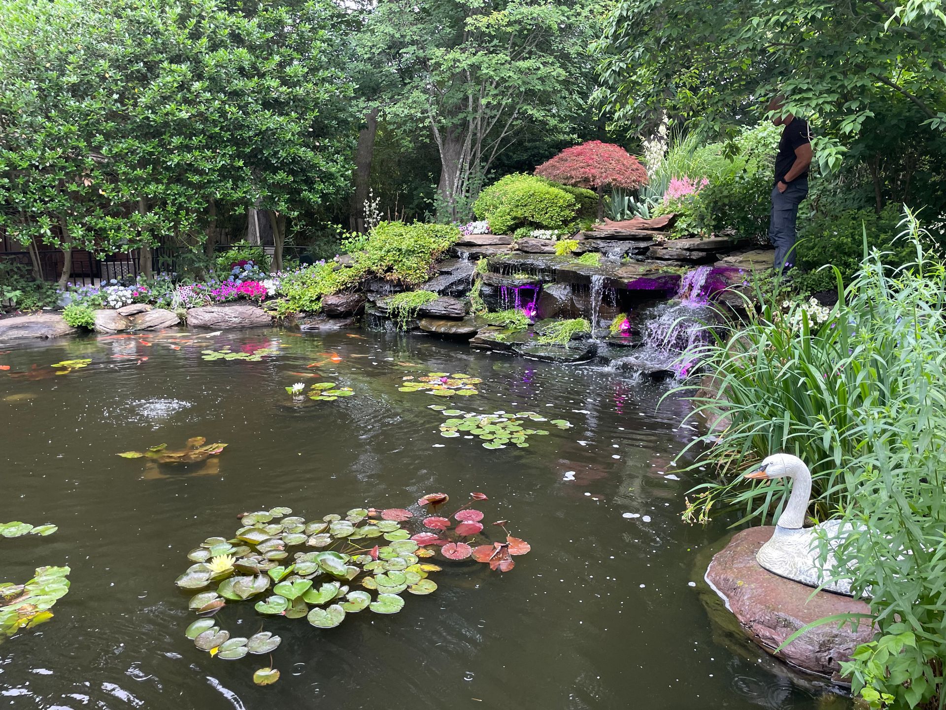 Garden pond with lily pads, flowers, and a white swan statue beside lush greenery