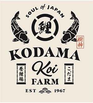 Kodama Koi Farm logo with black koi, Japanese text, and “Soul of Japan” on a beige background