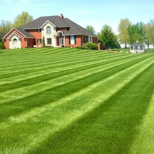 Exclusive Lawns