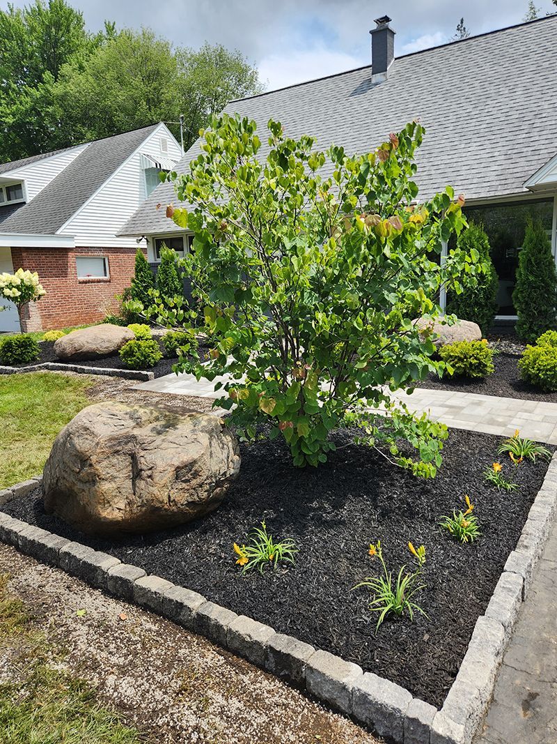Landscaped front yard with a large boulder, dark mulch, and greenery in front of a house.