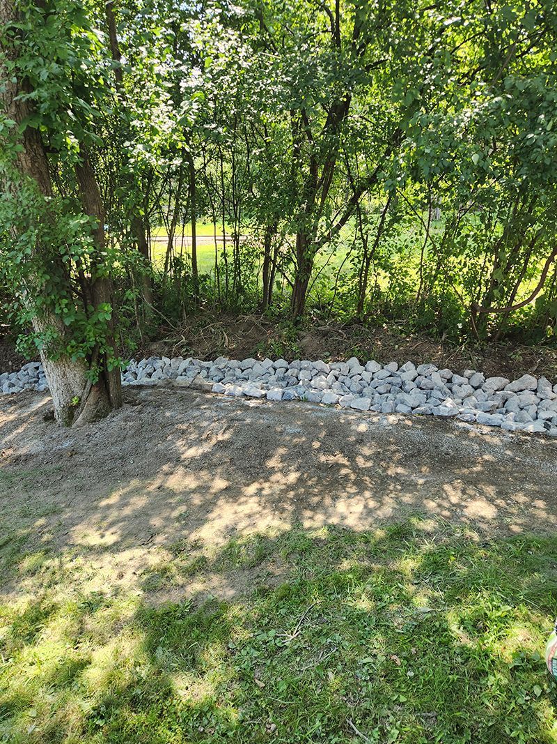 Rocks border a shaded area with trees. Foreground has grass and dirt.