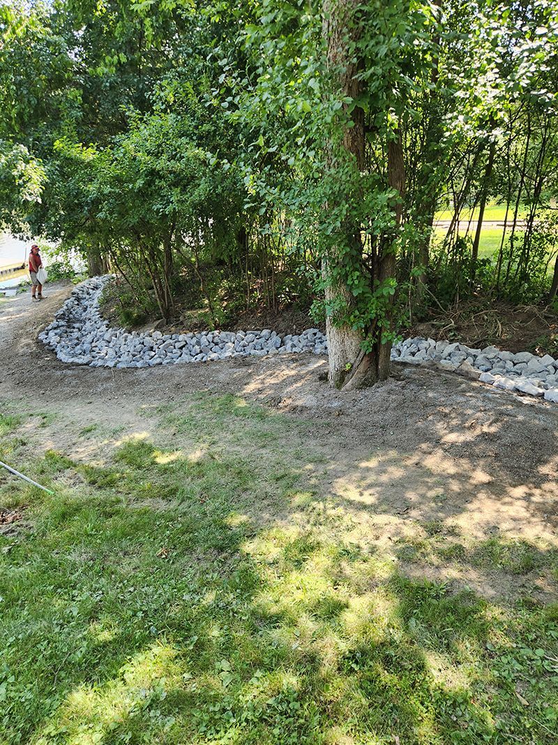 Grassy yard with a tree and a border of rocks against trees and brush.