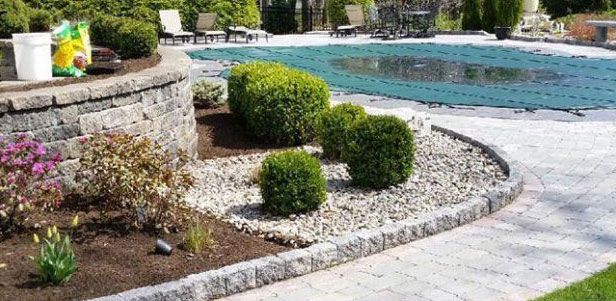 Landscaped backyard with pool and stone retaining walls, with green bushes and stone border.