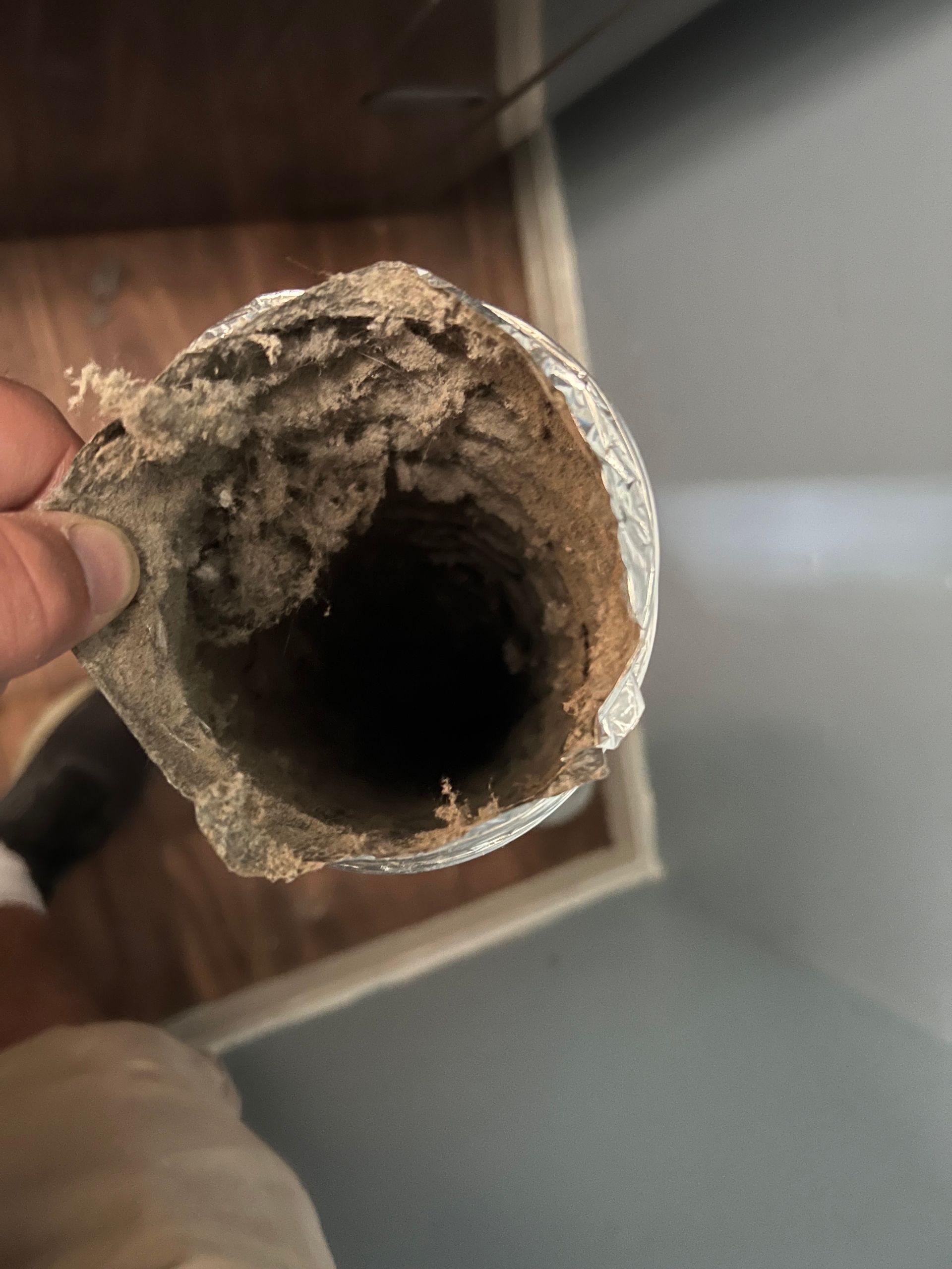 Person holding a dusty dryer vent hose; debris and lint inside, floor visible.