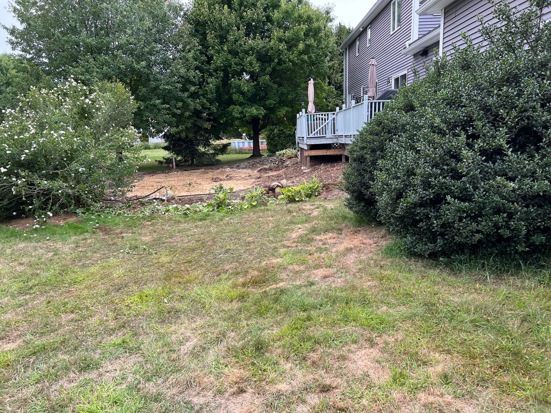 Grassy backyard with a house on the right, a deck, trees, and various bushes.