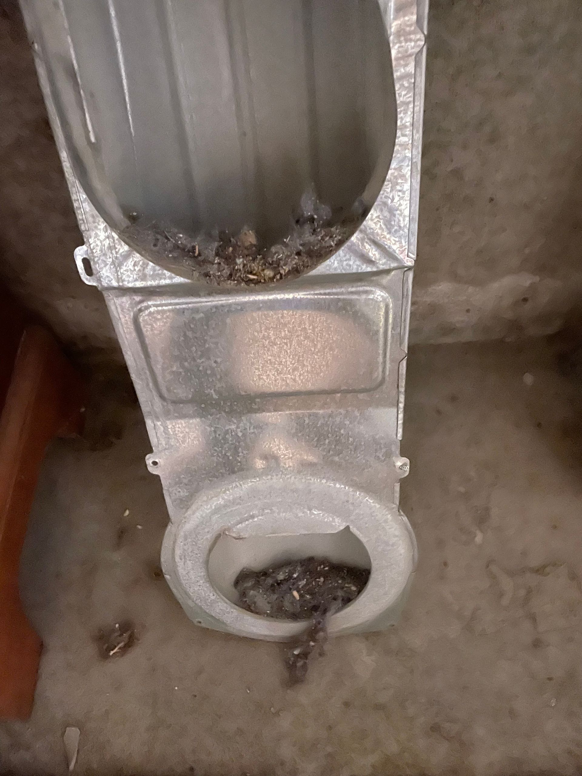 Metal dryer vent with debris buildup.