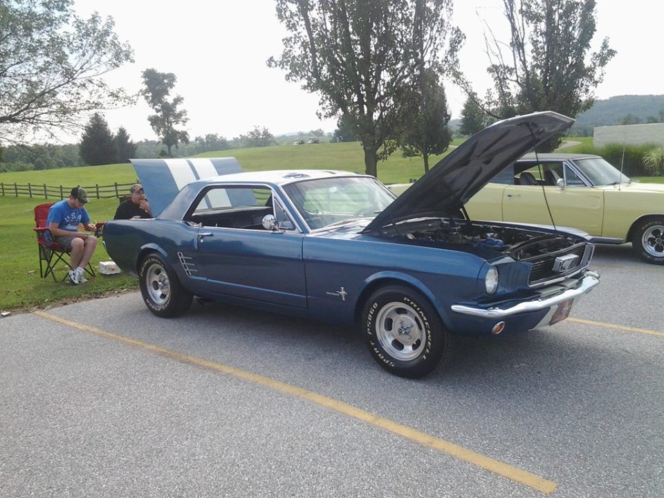 Blue mustang
