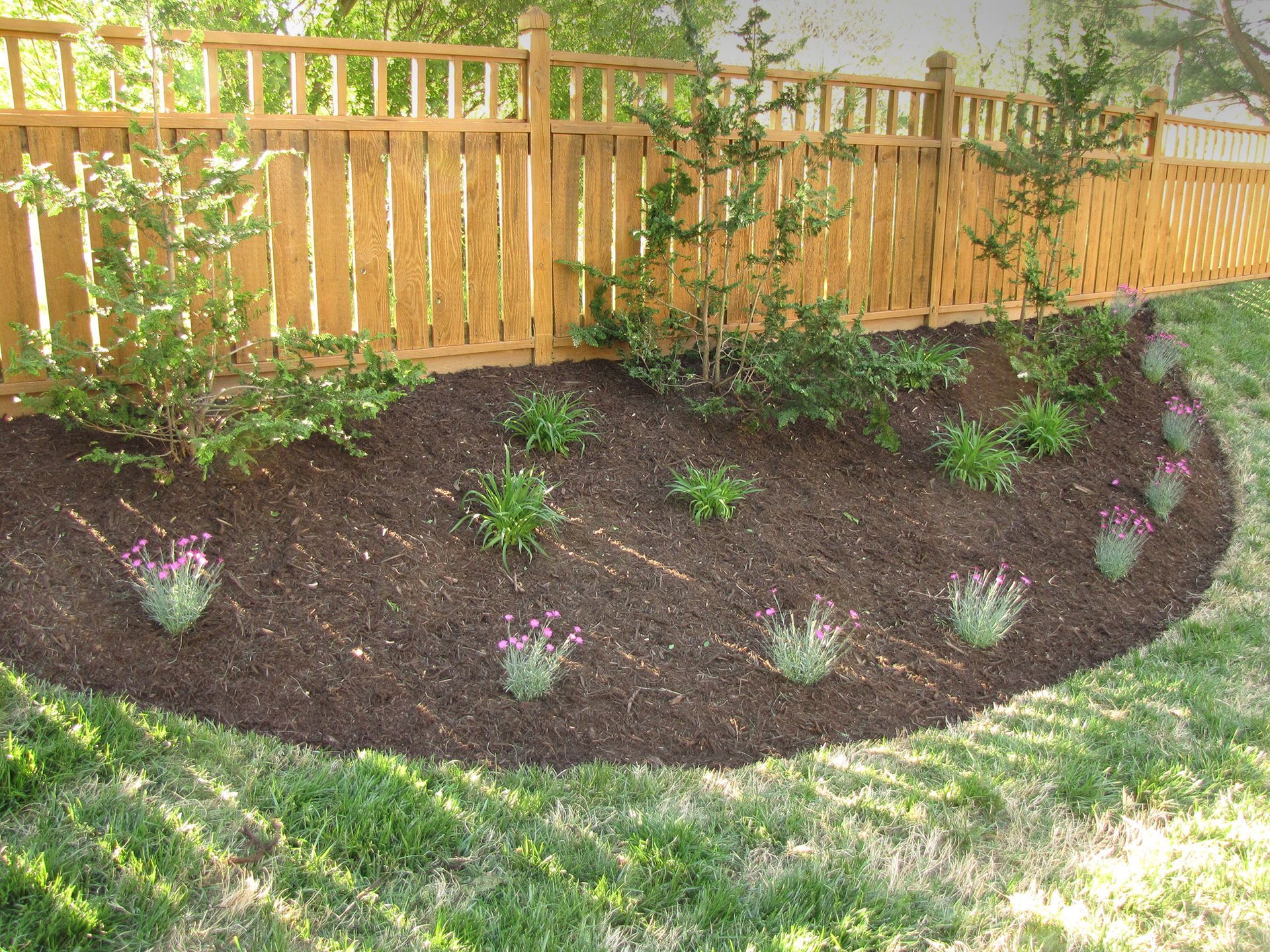 A wooden fence surrounds a garden with flowers and mulch