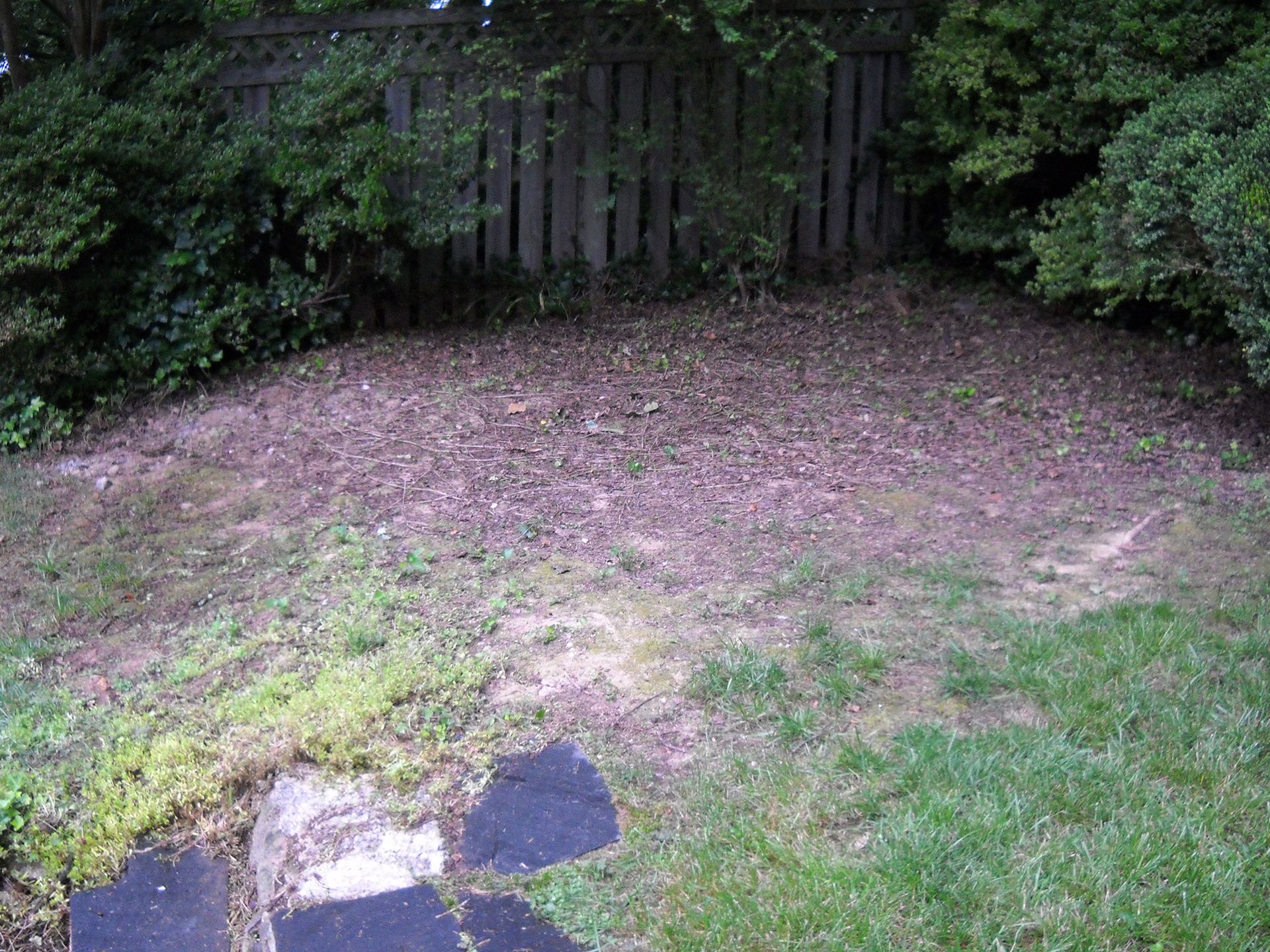 A backyard with a wooden fence and a rock in the middle of it.