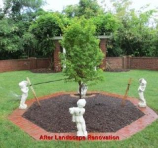 A tree is surrounded by statues in a circle in a yard.
