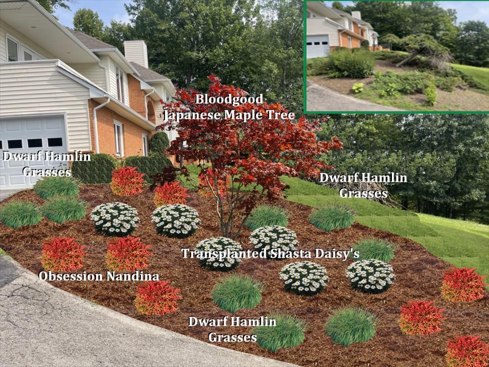 A computer generated image of a garden in front of a house.