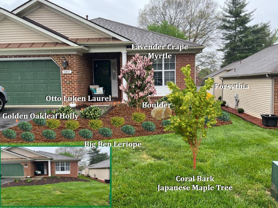 A house with a green garage door and a lot of plants in front of it.