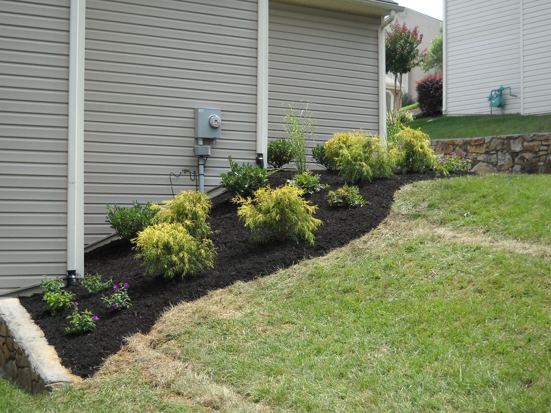 A lawn with a lot of plants and bushes in front of a house