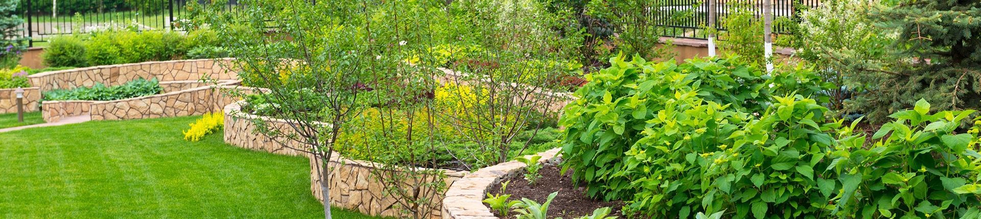 A lush green garden filled with lots of plants and trees.