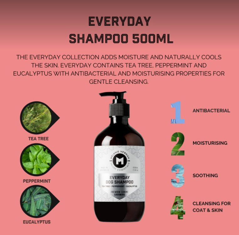 Everyday shampoo