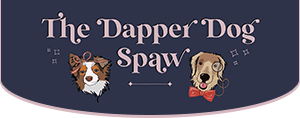 The dapper dog sales salon