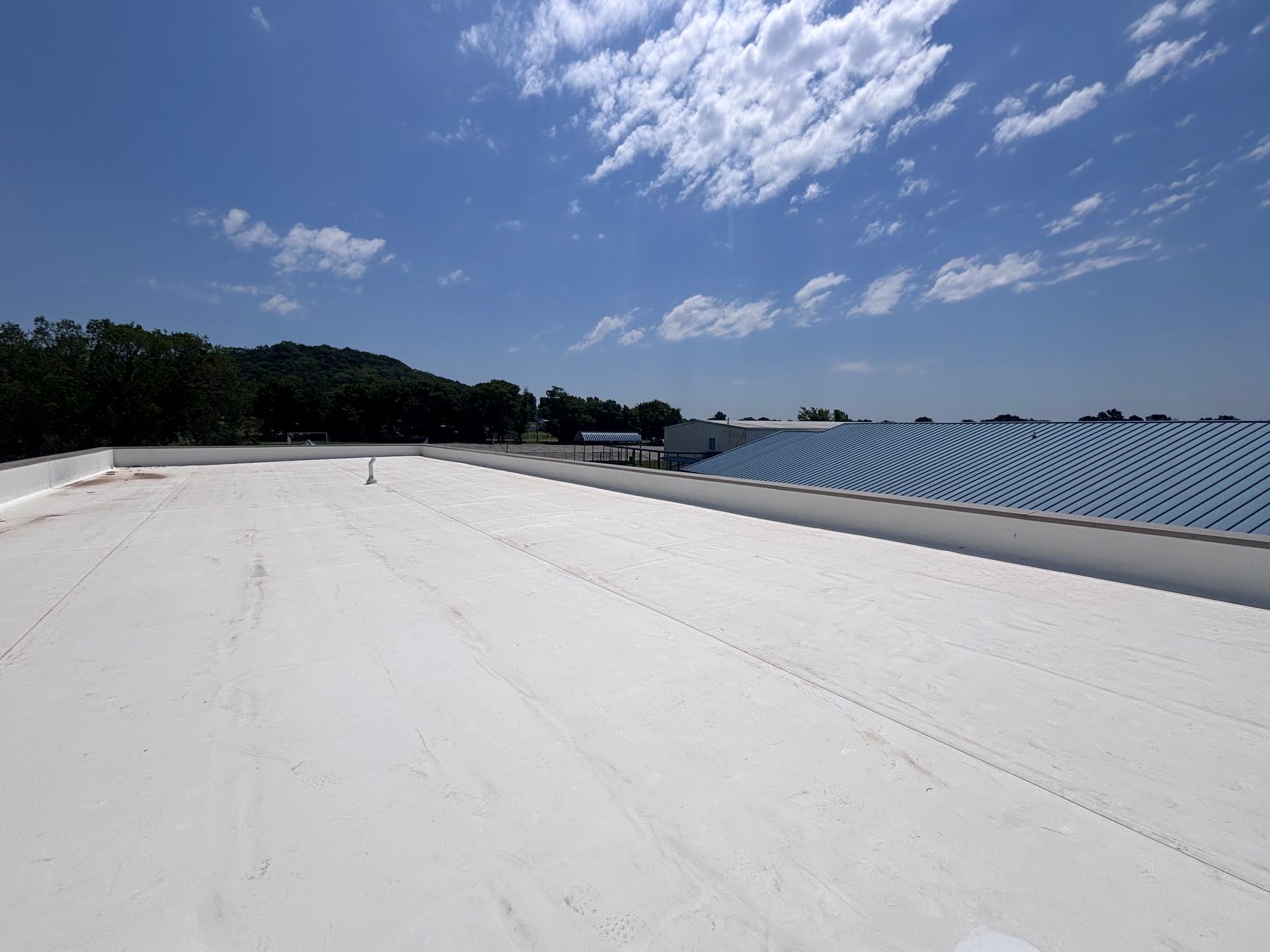 Rooftop with white surface and blue skylights under a bright blue sky, trees in the distance