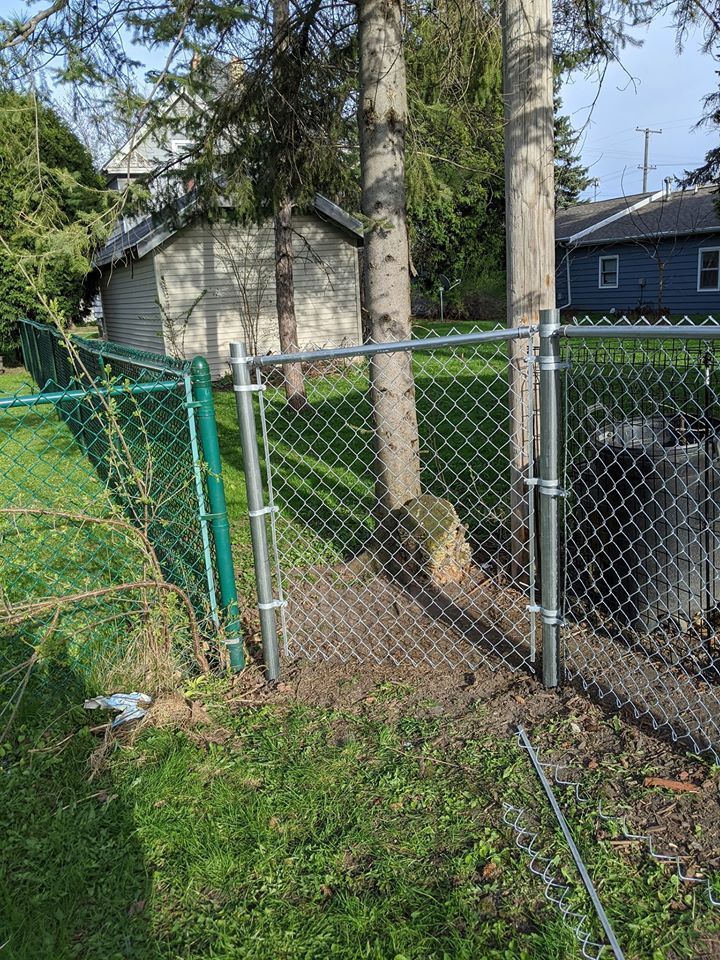 A chain link fence is surrounded by trees in a yard.