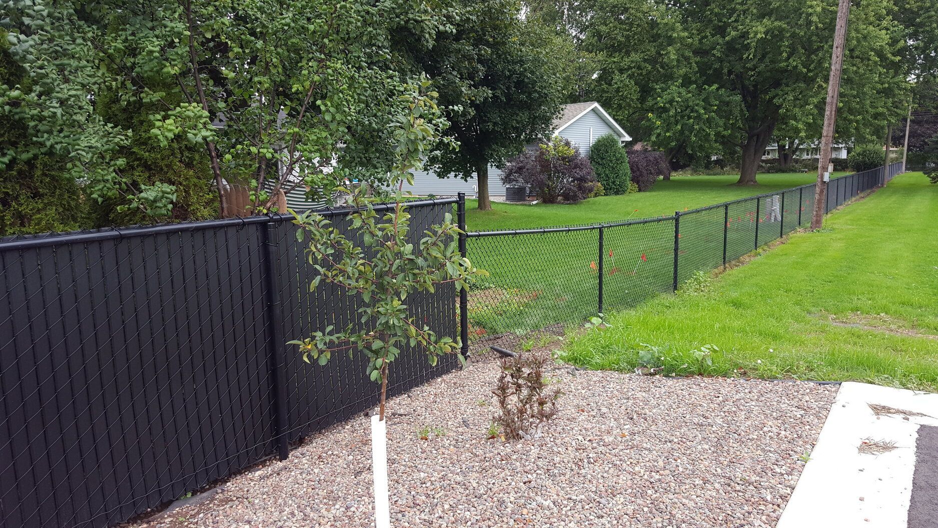A black chain link fence surrounds a lush green yard.
