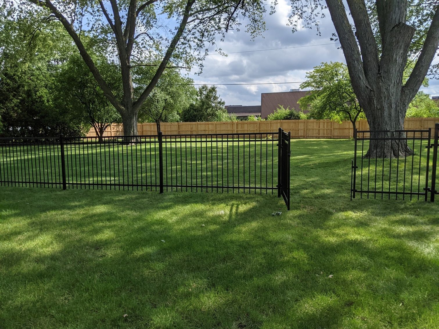 A black fence surrounds a lush green field with trees in the background.