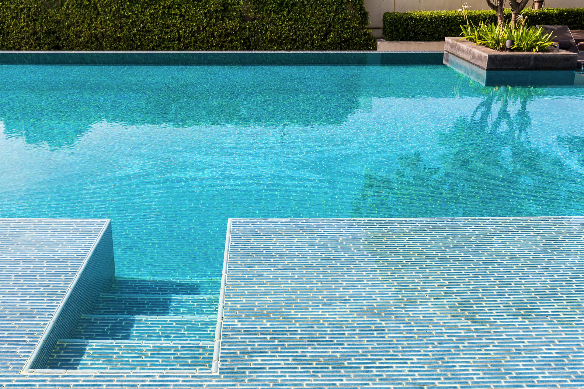 Blue tiled pool with a built-in shallow ledge and potted plants along the far edge