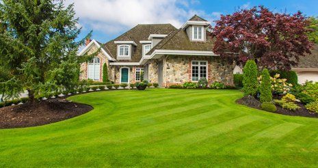 Learn More About Emergency Services and Storm Damage Beautiful lawn design