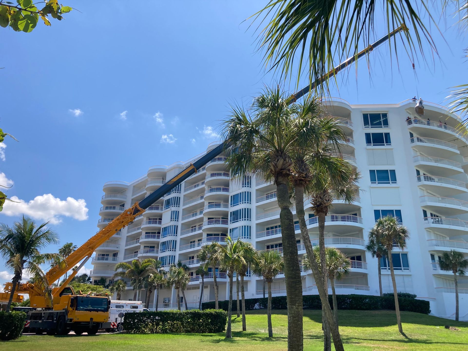 A crane is cutting a palm tree in front of a tall building.