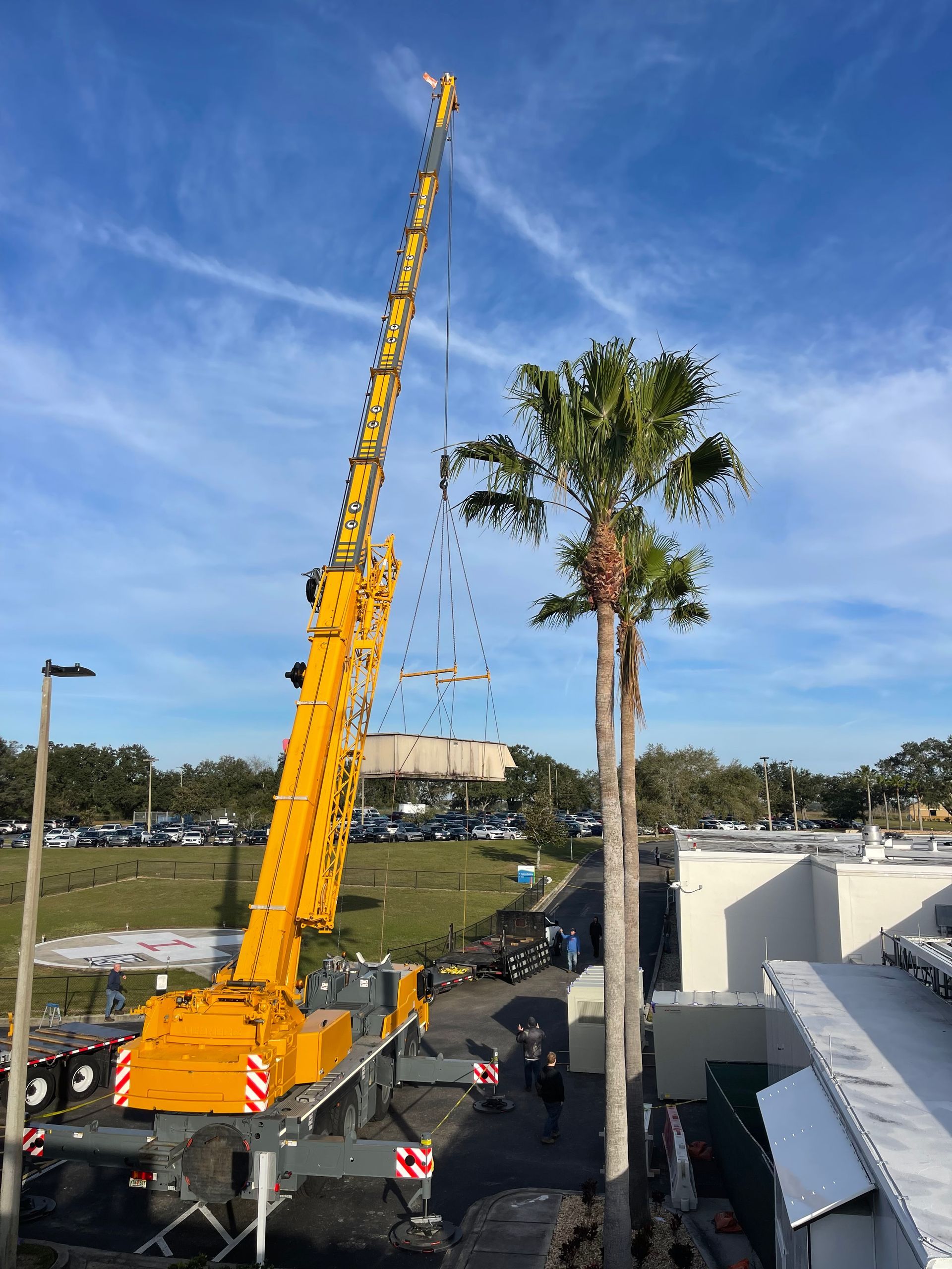 A large yellow crane is lifting a palm tree