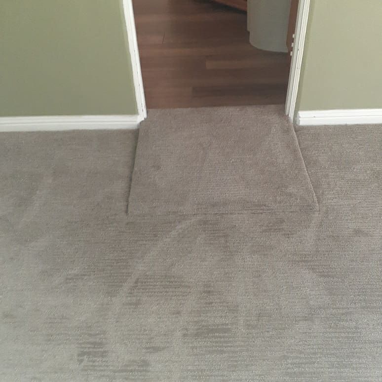 A carpeted ramp at a doorway threshold, bridging the transition between a carpeted room and a hardwood floor.