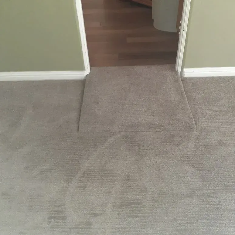 A carpeted accessibility ramp bridges the height difference between a carpeted room and a hardwood-floored doorway.