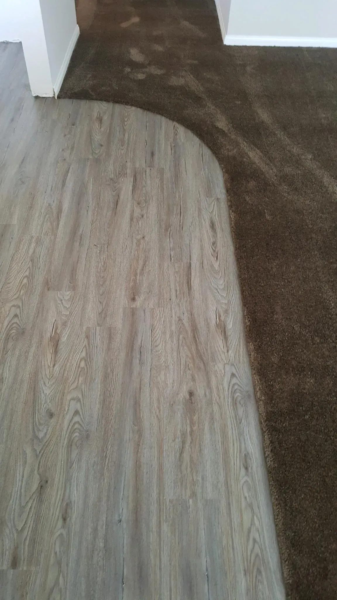 A transition area in a room showing a curved edge where light wood-look flooring meets dark brown carpet.