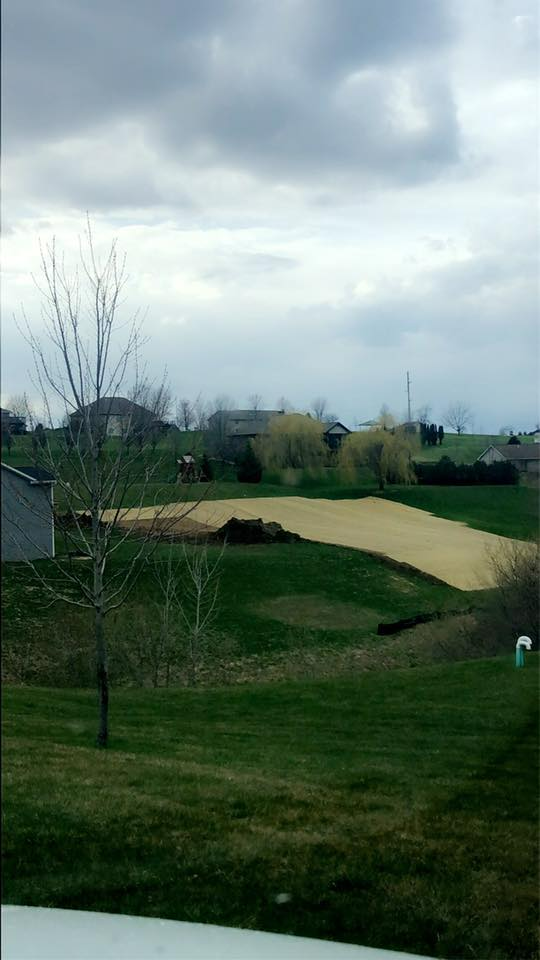 Lawn care and landscaping services