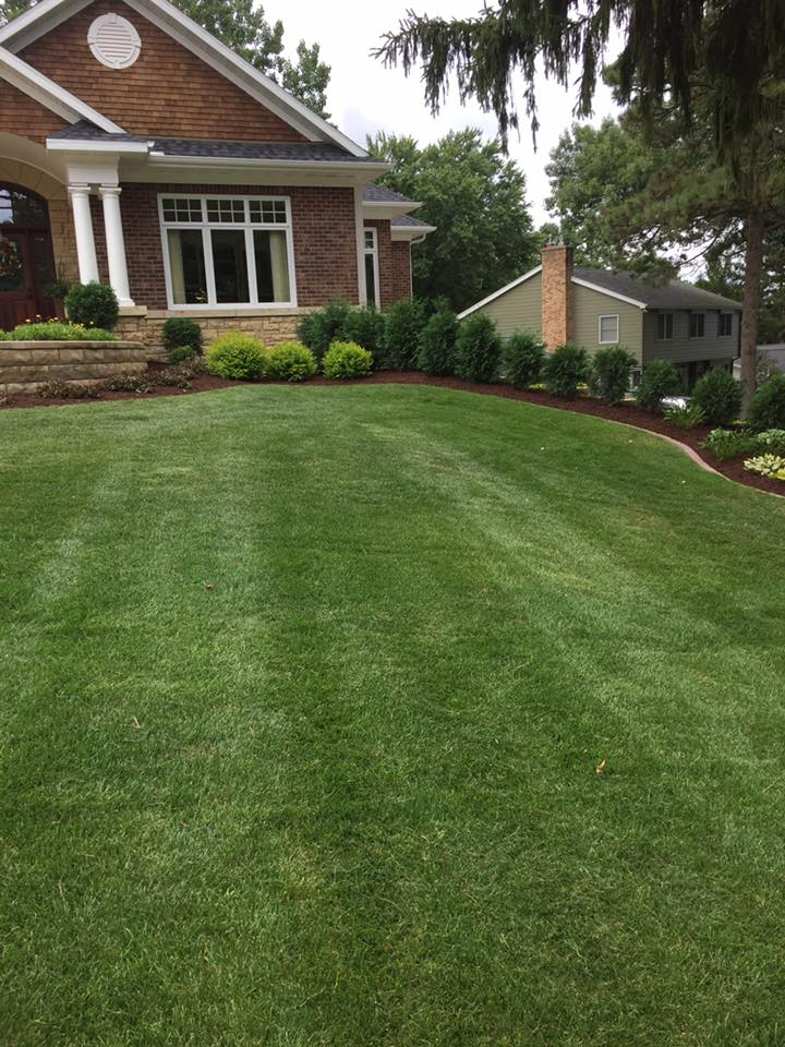 Lawn care services